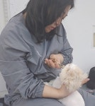 냥블레스유 대구고양이미용