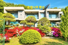 동학사로뎀나무펜션