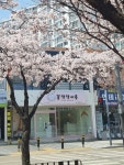 꽃댕댕싸롱