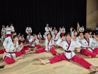 용인대무궁화태권도