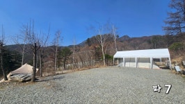 알지캠프266