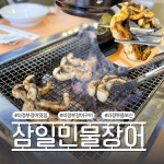 삼일민물장어
