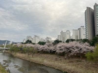 명문공인중개사사무소