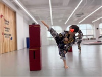 더혼합기도우슈 산하도장