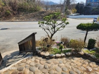 도림막국수