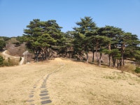가람공인중개사사무소