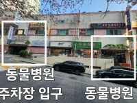 힐스타운동물병원