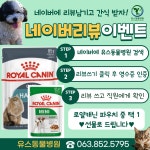 유스동물병원