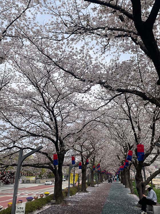 미화당 사진