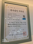 파파독 동해
