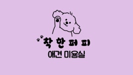 착한퍼피