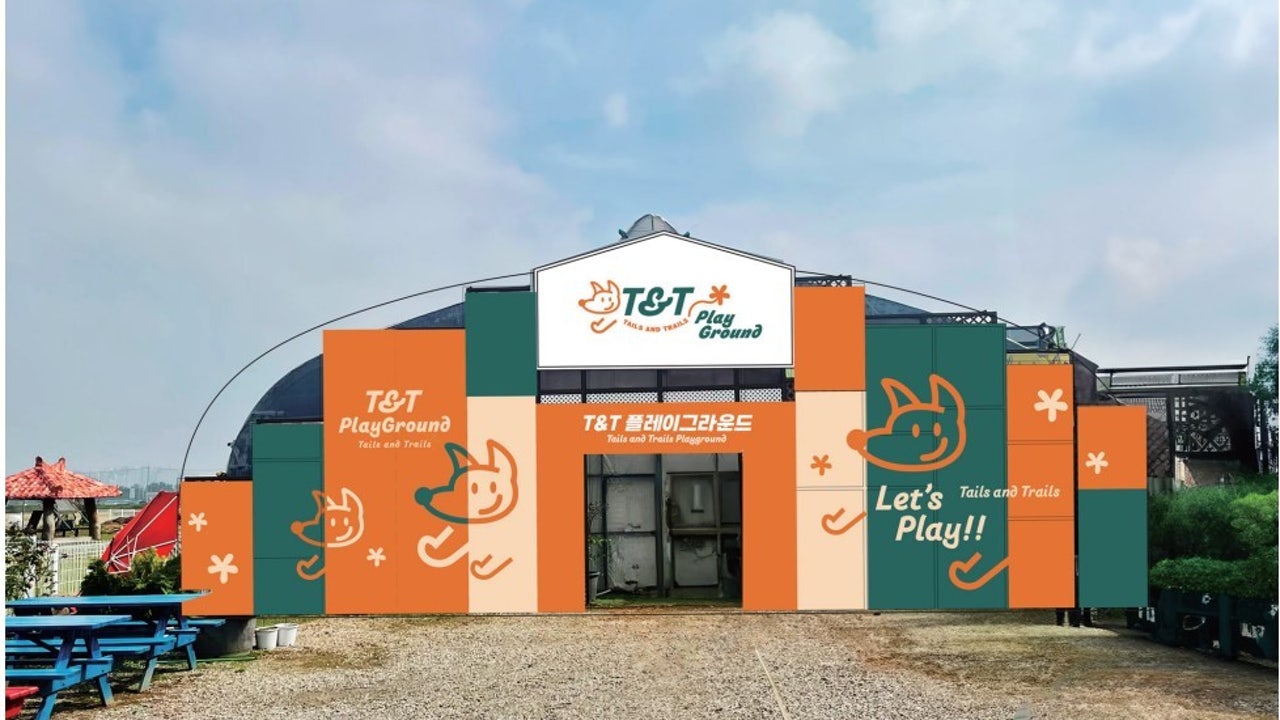 T&T애견카페