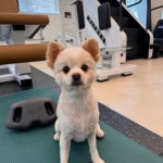 헬로바디피트니스