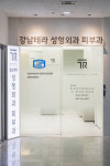 강남테라성형외과의원