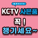 제주네트웍스