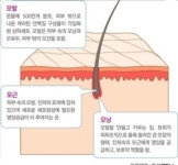 큐사랑 충남도청점