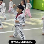 용인대꿈나래태권도