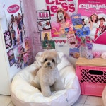 코코넨네펫미용샵