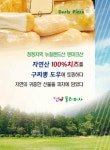 둘리피자 내서점