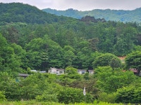 언덕집민박