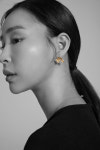 준화