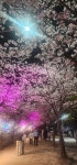 앞산 국수[GookSu]
