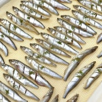 루비까까 강아지케이크