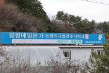 봉평메밀본가농업회사법인