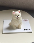 투마이퍼피