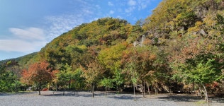담터오지캠핑장