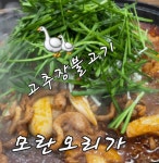모란오리가