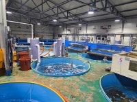 대구연합활어유통