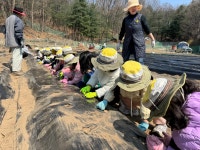 후평숲속유치원