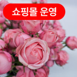 꽃샘꽃방