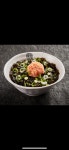 고반식당 광교상현역점