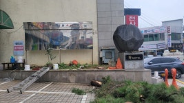 방포벌목임업