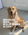 댕모먼트