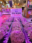 청정한우