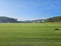 미성잔디유농업회사법인