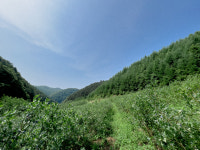 춘천툇골농원