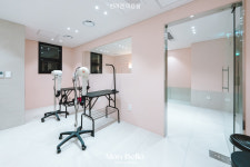 몽벨로 애견유치원/애견호텔/애견미용