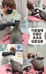 훤칠한고양이