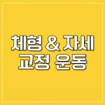 무브먼트퍼스널트레이닝