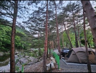 법수치 오토캠핑장