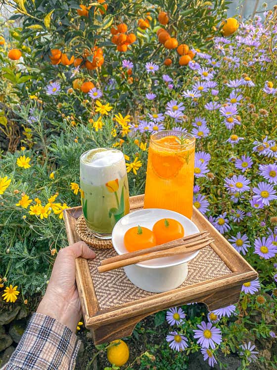 카페 귤꽃다락 사진