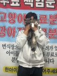 의정부강아지분양 고양이분양 마이펫브로 의정부점