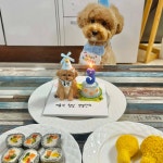 루비까까 강아지케이크