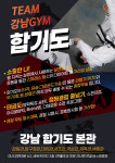 강남 합기도