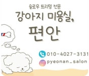 강아지미용실_편안