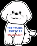 주춧돌수학교습소